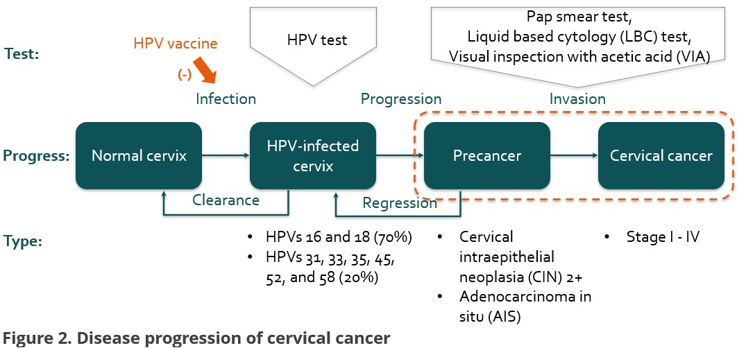 Figure 2. Progression of cervical cancer